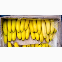 Бананы свежие оптом