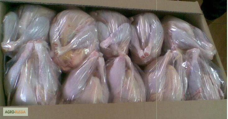 Предлагаем прямые поставки цыпленка замороженного в разделке производство Турция