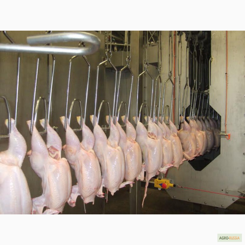 Фото 2. Предлагаем прямые поставки цыпленка замороженного в разделке производство Турция