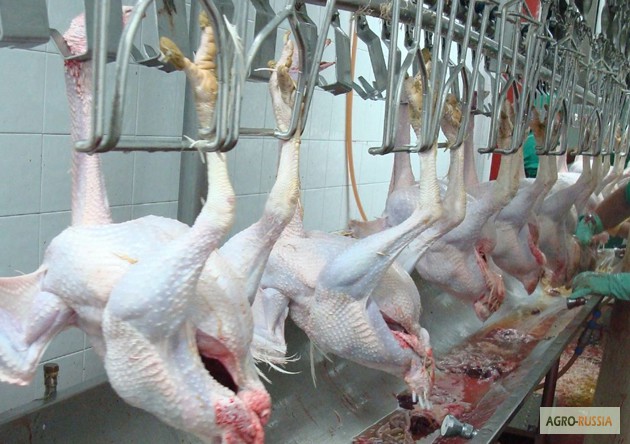 Фото 3. Предлагаем прямые поставки цыпленка замороженного в разделке производство Турция