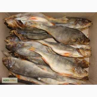 Рыба речная вяленая от производителя/ от 125 р/кг