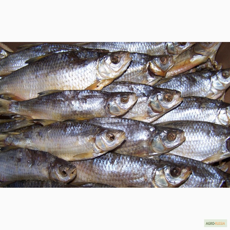 Фото 3. Рыба речная вяленая от производителя/ от 125 р/кг