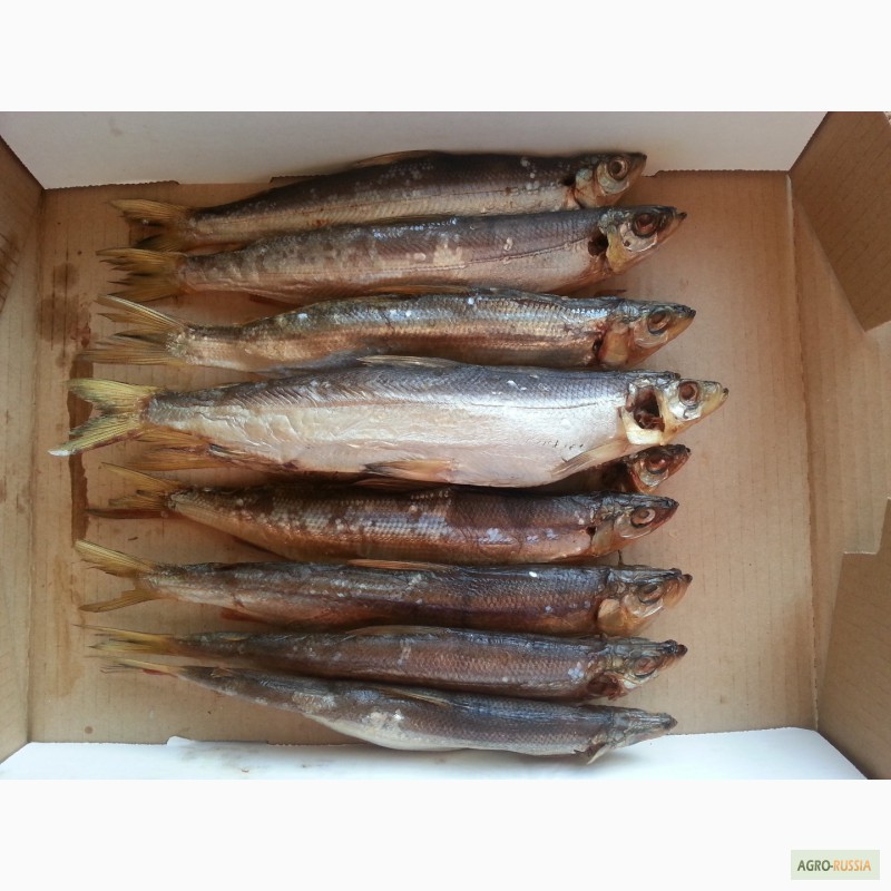 Фото 4. Рыба речная вяленая от производителя/ от 125 р/кг