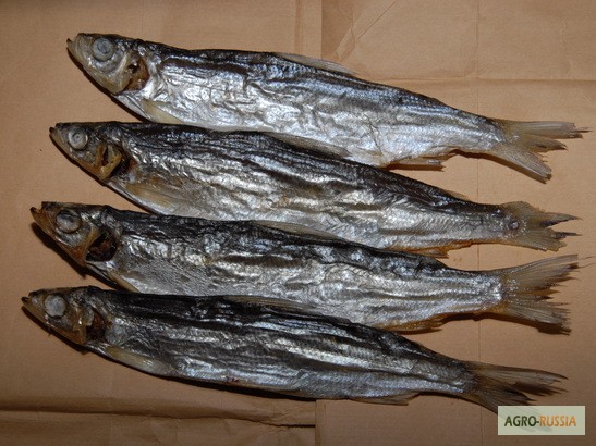 Фото 5. Рыба речная вяленая от производителя/ от 125 р/кг