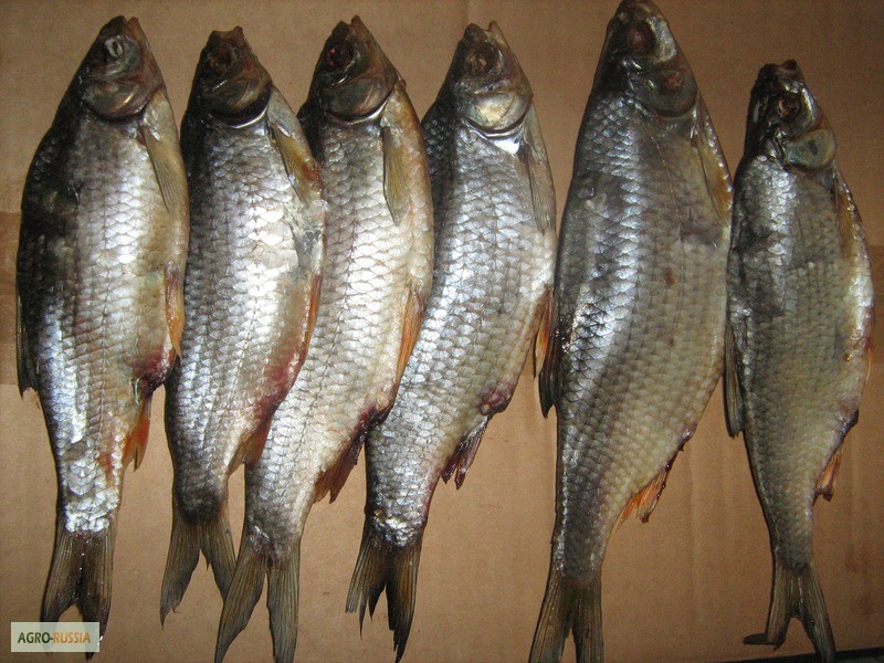 Фото 7. Рыба речная вяленая от производителя/ от 125 р/кг