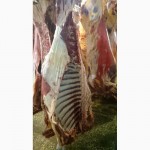 Продаем мясо говядины в полутушах оптом от производителя