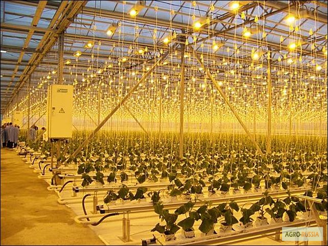 Фото 4. Тепличные cветильники ЖСП для растений, фито лампы для растений ДНаЗ, ДНАТ