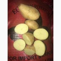 Картофель продовольственный со склада