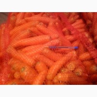 Продам морковь мытую полированную в сетке мешок по 25 кг