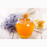 Ищу поставщиков мёда со всей РФ