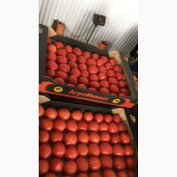 Продаем томаты (помидоры) круглые и сливовидные тепличные оптом от фуры