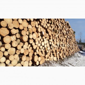 Продажа леса кругляка и пиломатериалов по России и на Экспорт