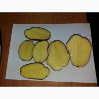 Картофель Ароза