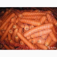 Морковь свежая урожай 2017г