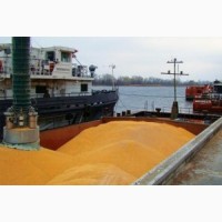 Перевозка зерна на экспорт в порты