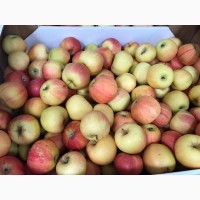 Яблоки оптом разных сортов напрямую со склада от 1 тонны