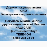 Покупка акций ОАО Башкирская содовая компания