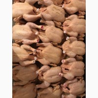 Охлажденное мясо бройлерных цыплят, кур, уток и гусей