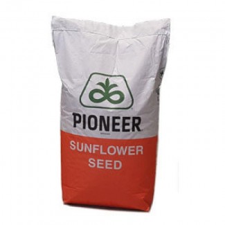 Семена подсолнечника ПР64Ф66, П63ЛЕ10, ПР62А91, ПР64Ф50 (Пионер)Pioneer