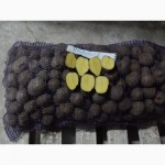 Продаем картофель оптом от производителя Ред скарлетт 2016 5