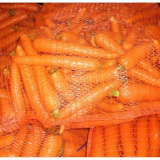 Морковь Желтая по выгодной цене от надежного производителя