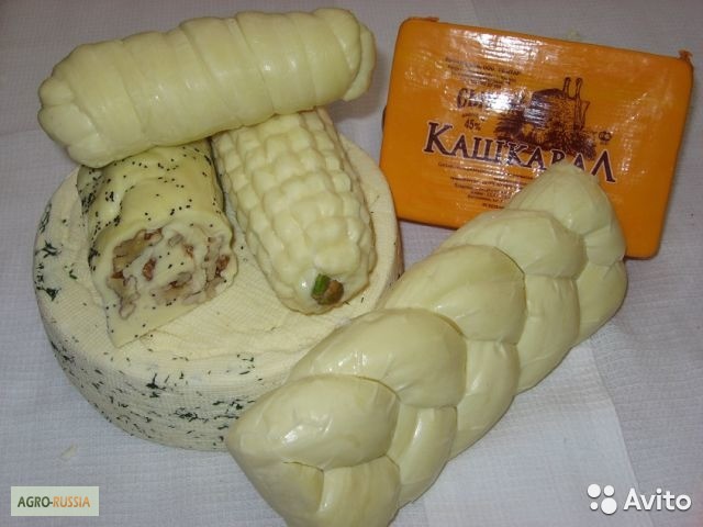 Фото 2. Производство эксклюзивных италянских и болгарских сыров