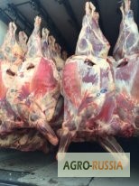 ООО Сантарин, продаёт мясо говядины(мраморную), свинины.ГОСТ, блочку