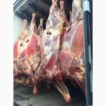 ООО Сантарин, продаёт мясо говядины(мраморную), свинины.ГОСТ, блочку