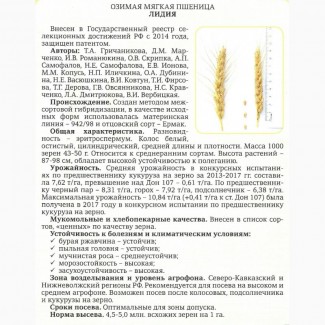 Семена озимой пшеницы урожая 2020 сорт Лидия