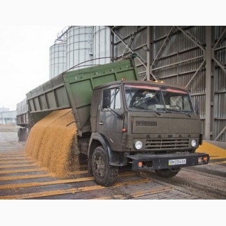 Перевозка пшеницы зерновозами