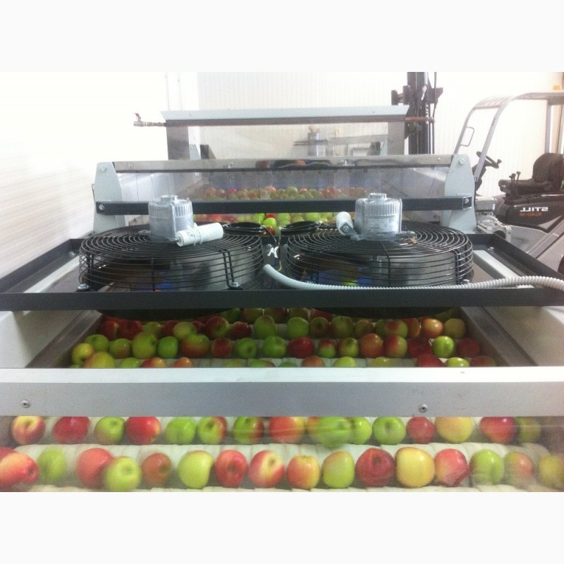 Фото 9. Линия для сортировки яблок, персиков, абрикос, фруктов от 2тн/час