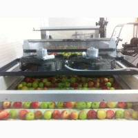 Линия для сортировки яблок, персиков, абрикос, фруктов от 2тн/час