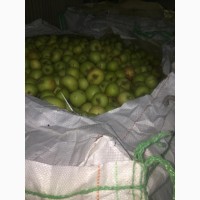 Яблоки (падалица, техническое) на переработку