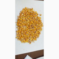 Реализуем кукурузу с хозяйства