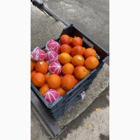Продам Красные апельсины