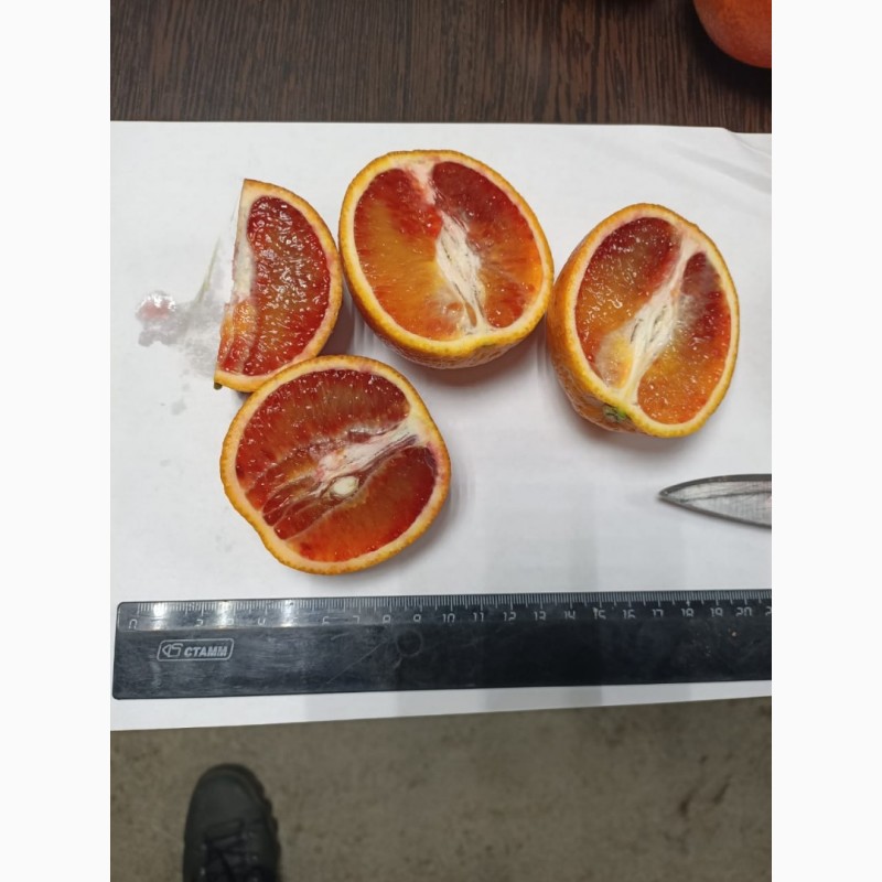 Фото 2. Продам Красные апельсины