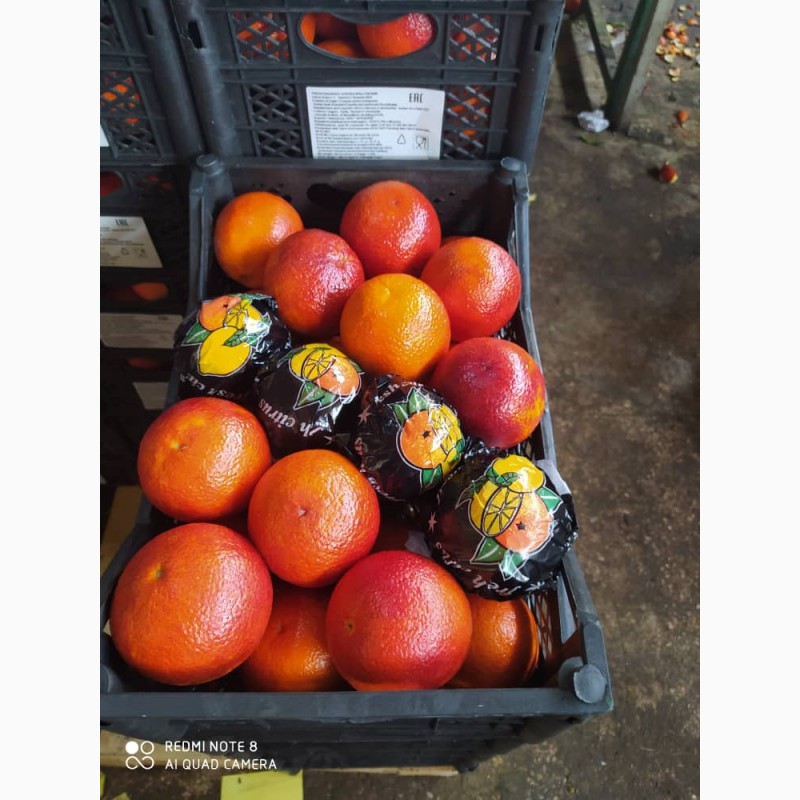 Фото 3. Продам Красные апельсины