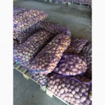 Оптовые продажи картофеля от производителя