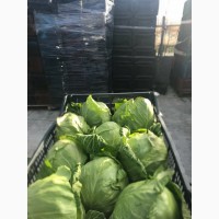 Продам Высококачественная свежая капуста Македонии 2018