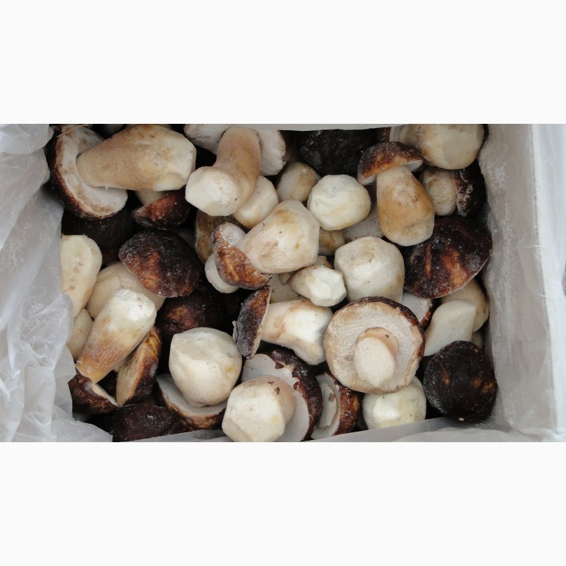 Фото 3. Свежезамороженные грибы