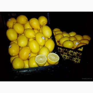 Продаем лимон оптом по цене от производителя с доставкой