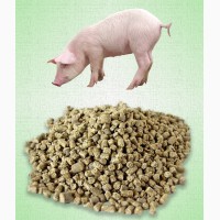 Комбикорм для свиней