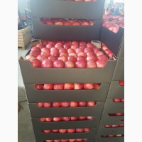 Купим яблоки от 20 тонн партия