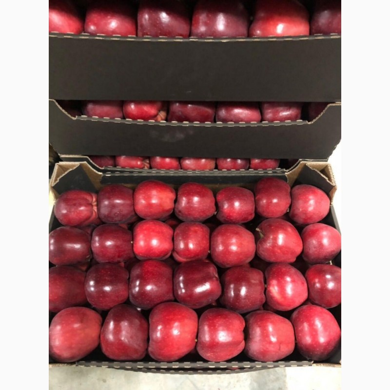 Фото 3. Купим яблоки от 20 тонн партия
