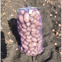 Продам картофель, урожай 2019