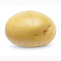 Продаем семенной картофель, сорт Примабелль