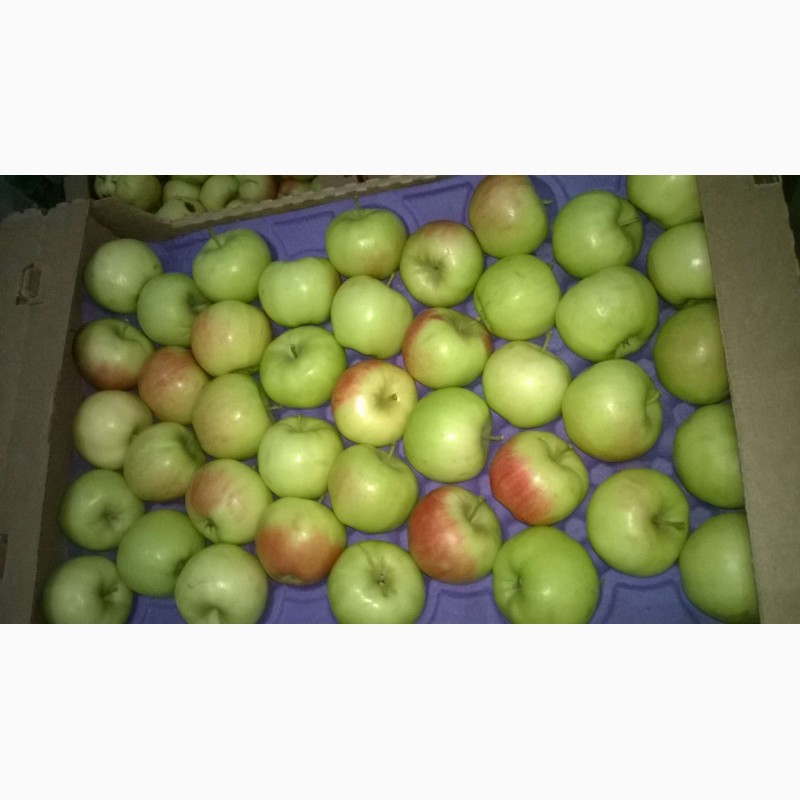 Фото 3. Продаём яблоки