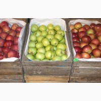 Яблоки фасованные оптом на прямую от производителя
