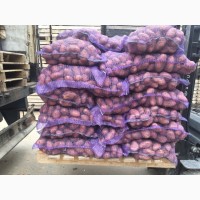 Продам картофель от КФХ