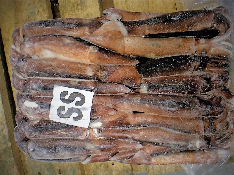 Фото 9. Рыба свежемороженая из Аргентины